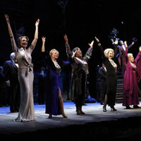 Follies