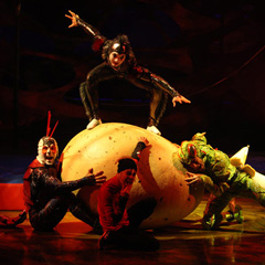 Cirque du Soleil - Ovo
