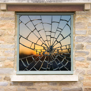 Spider's Web