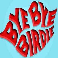 Bye Bye Birdie