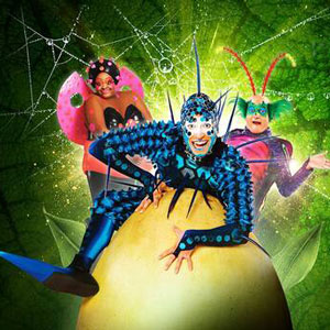 Cirque du Soleil - Ovo