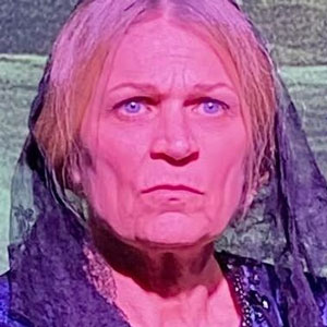 The Mostly True Story of a Common Scold