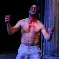 The Curse of Oedipus  