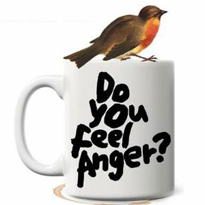 Do You Feel Anger?