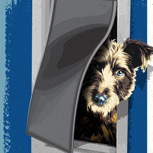 Dog Door