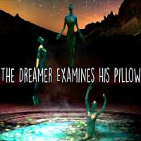 The Dreamer Examines His Pillow 