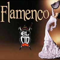 Flamenco Show For Two