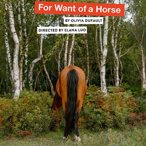 For Want of a Horse