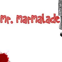Mr. Marmalade