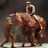 War Horse