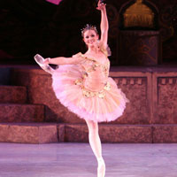 The Nutcracker