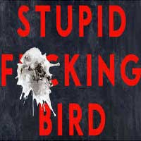 Stupid F***ing Bird Sort Of An Adaptation of  The Seagull