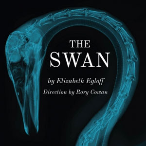 The Swan