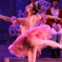 The Nutcracker
